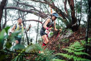 BIB: 
                            <button type="button" onclick="openModal(26295518)" class="btn btn-primary btn-sm float-right btn-popup" data-toggle="modal" data-target=".modal-high-quality">
                        <i class="fas fa-shopping-cart"></i> Add to Cart
                    </button>
                                            <button type="button" onclick="isThisMe(26295518, true)" class="btn btn-success btn-sm float-right btn-popup btn-isme hidden" data-toggle="tooltip" data-placement="bottom" title="นี่คือรูปของคุณใช่ไหม คลิกที่นี่เพื่อเอาเข้าอัลบั้ม">
                        <i class="fas fa-plus"></i> Add to album
                    </button>
                    <button type="button" onclick="isThisMe(26295518, false)" class="btn btn-warning btn-sm float-right btn-popup btn-isnotme hidden">
                        <i class="fas fa-ban"></i> Remove from album
                    </button>